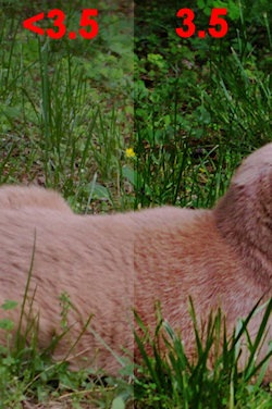 FirefoxColorProblem FirefoxColorProblem